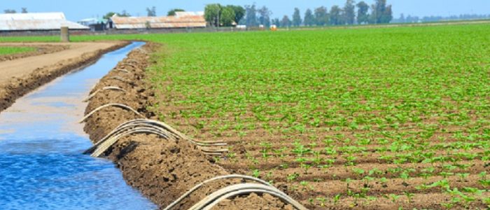 Dossier-Eau-Agriculture-2