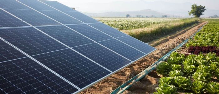 le-photovoltaique-agricole