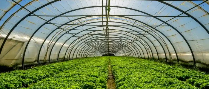 lumiere-serre-jardin