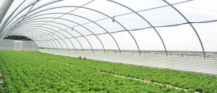 serre-choisir-pour-son-exploitation-agricole